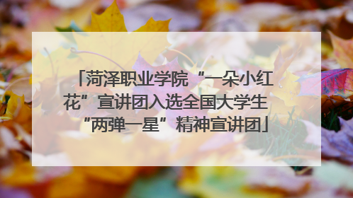 菏泽职业学院“一朵小红花”宣讲团入选全国大学生“两弹一星”精神宣讲团