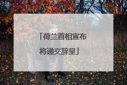 荷兰首相宣布将递交辞呈