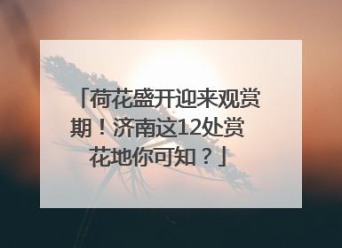 荷花盛开迎来观赏期!济南这12处赏花地你可知?