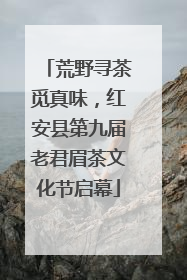 荒野寻茶觅真味，红安县第九届老君眉茶文化节启幕