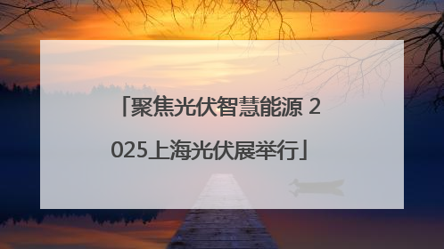 聚焦光伏智慧能源 2025上海光伏展举行
