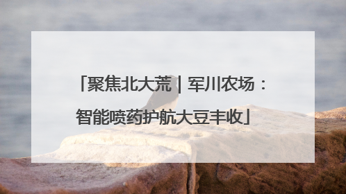 聚焦北大荒｜军川农场：智能喷药护航大豆丰收