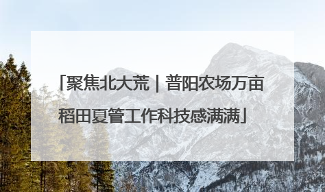聚焦北大荒｜普阳农场万亩稻田夏管工作科技感满满
