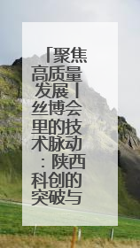 聚焦高质量发展丨丝博会里的技术脉动：陕西科创的突破与想象