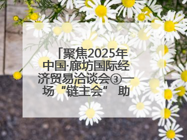 聚焦2025年中国·廊坊国际经济贸易洽谈会③一场“链主会” 助力厂商破圈发展