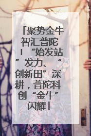 聚势金牛 智汇普陀〡“始发站”发力、“创新田”深耕，普陀科创“金牛”闪耀