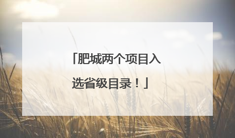 肥城两个项目入选省级目录！