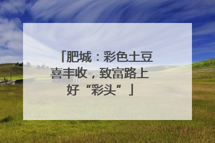 肥城：彩色土豆喜丰收，致富路上好“彩头”
