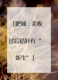 肥城：麦收过后秸秆有“新生”