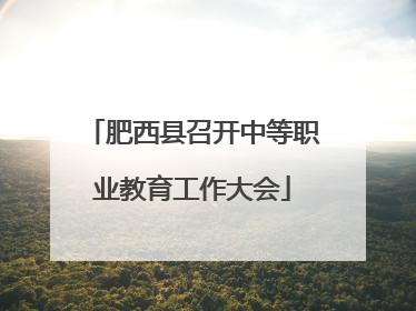 肥西县召开中等职业教育工作大会