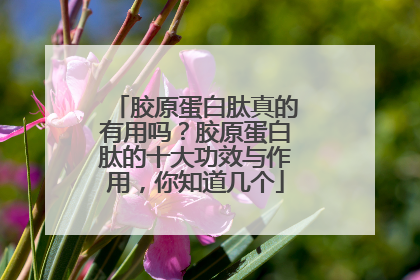 胶原蛋白肽真的有用吗？胶原蛋白肽的十大功效与作用，你知道几个