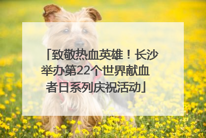 致敬热血英雄！长沙举办第22个世界献血者日系列庆祝活动