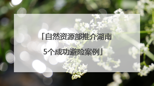 自然资源部推介湖南5个成功避险案例