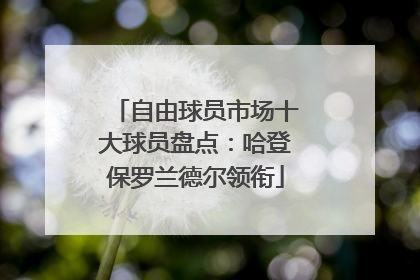 自由球员市场十大球员盘点：哈登保罗兰德尔领衔