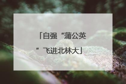 自强“蒲公英”飞进北林大