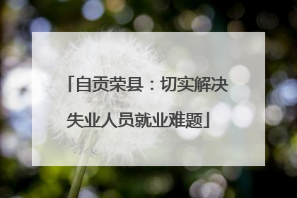 自贡荣县：切实解决失业人员就业难题