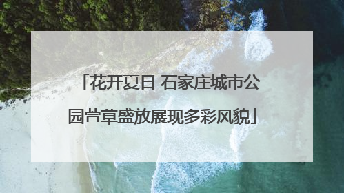 花开夏日 石家庄城市公园萱草盛放展现多彩风貌