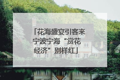 花海盛宴引客来 宁波宁海“赏花经济”别样红