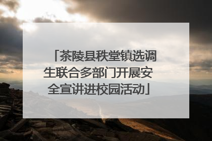 茶陵县秩堂镇选调生联合多部门开展安全宣讲进校园活动
