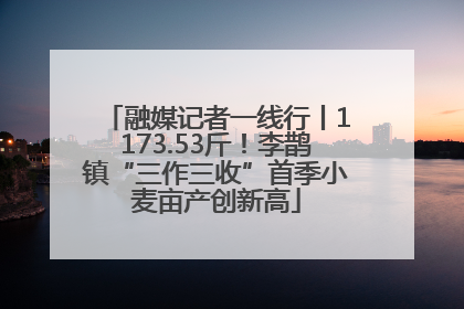 融媒记者一线行丨1173.53斤！李鹊镇“三作三收”首季小麦亩产创新高