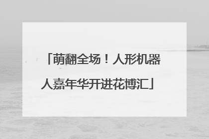 萌翻全场！人形机器人嘉年华开进花博汇
