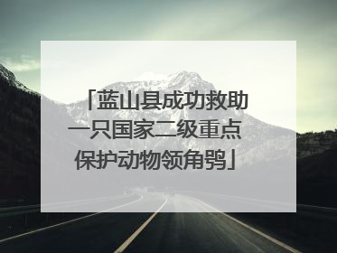 蓝山县成功救助一只国家二级重点保护动物领角鸮