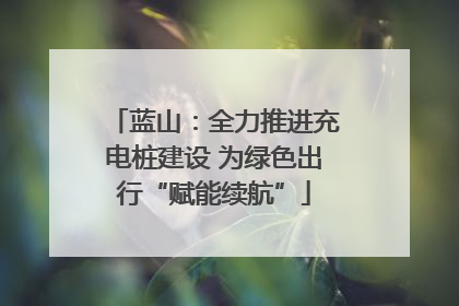 蓝山：全力推进充电桩建设 为绿色出行“赋能续航”