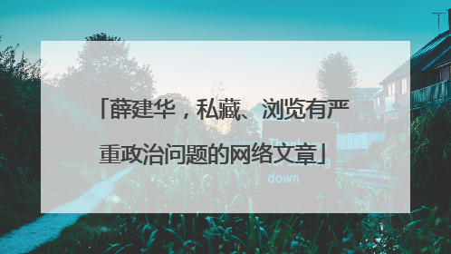 薛建华，私藏、浏览有严重政治问题的网络文章