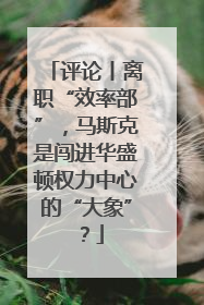 评论丨离职“效率部”，马斯克是闯进华盛顿权力中心的“大象”？