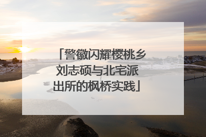 警徽闪耀樱桃乡 刘志硕与北宅派出所的枫桥实践