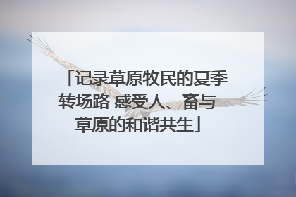 记录草原牧民的夏季转场路 感受人、畜与草原的和谐共生