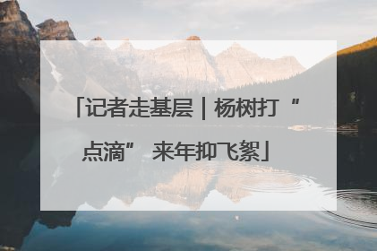 记者走基层｜杨树打“点滴” 来年抑飞絮