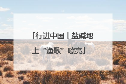行进中国丨盐碱地上“渔歌”嘹亮