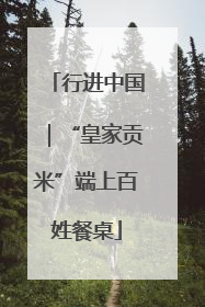 行进中国｜“皇家贡米”端上百姓餐桌
