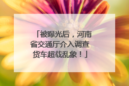 被曝光后，河南省交通厅介入调查货车超载乱象！
