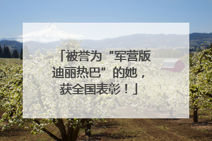 被誉为“军营版迪丽热巴”的她，获全国表彰！
