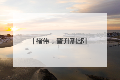 褚伟，晋升副部