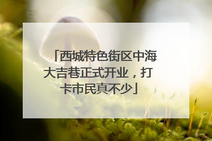 西城特色街区中海大吉巷正式开业，打卡市民真不少