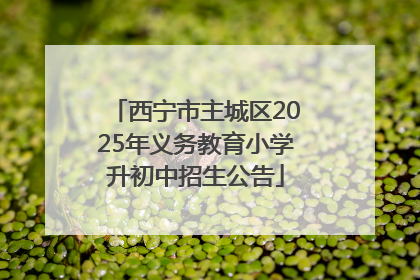 西宁市主城区2025年义务教育小学升初中招生公告