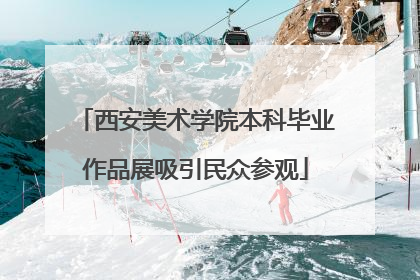 西安美术学院本科毕业作品展吸引民众参观