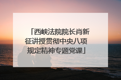 西峡法院院长肖新征讲授贯彻中央八项规定精神专题党课