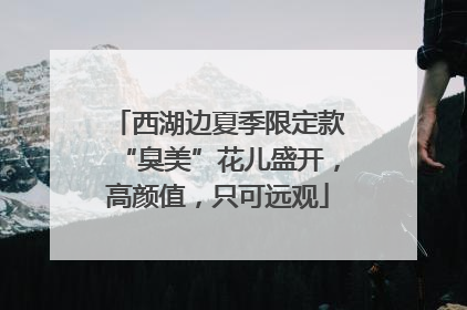 西湖边夏季限定款“臭美”花儿盛开，高颜值，只可远观