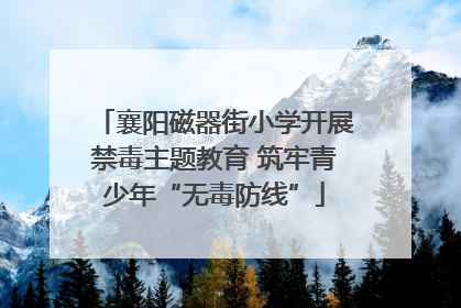 襄阳磁器街小学开展禁毒主题教育 筑牢青少年“无毒防线”