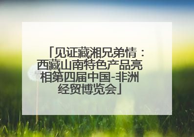 见证藏湘兄弟情：西藏山南特色产品亮相第四届中国-非洲经贸博览会