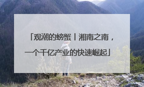 观潮的螃蟹丨湘南之南，一个千亿产业的快速崛起