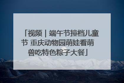 视频｜端午节撞档儿童节 重庆动物园萌娃看萌兽吃特色粽子大餐