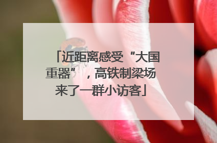 近距离感受“大国重器”，高铁制梁场来了一群小访客