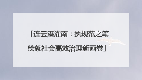 连云港灌南：执规范之笔 绘就社会高效治理新画卷
