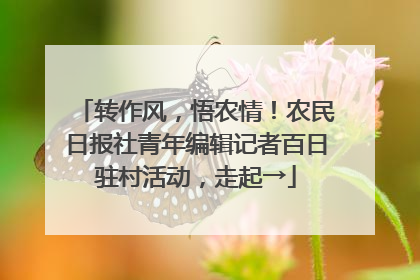 转作风，悟农情！农民日报社青年编辑记者百日驻村活动，走起→