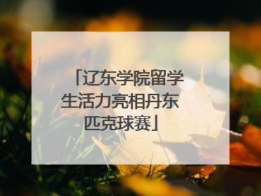 辽东学院留学生活力亮相丹东匹克球赛